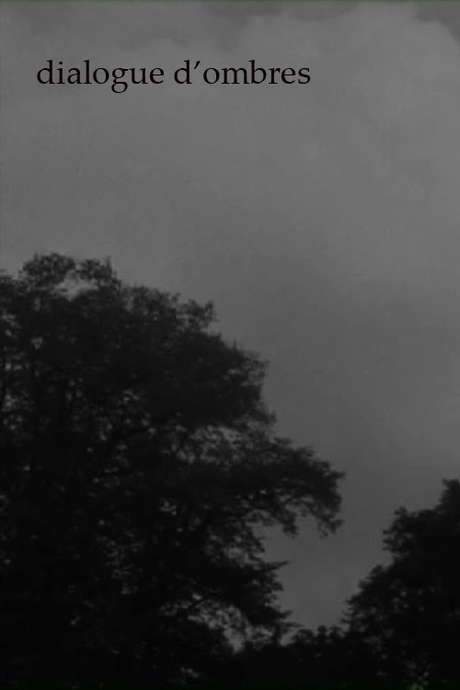 Dialogue of Shadows